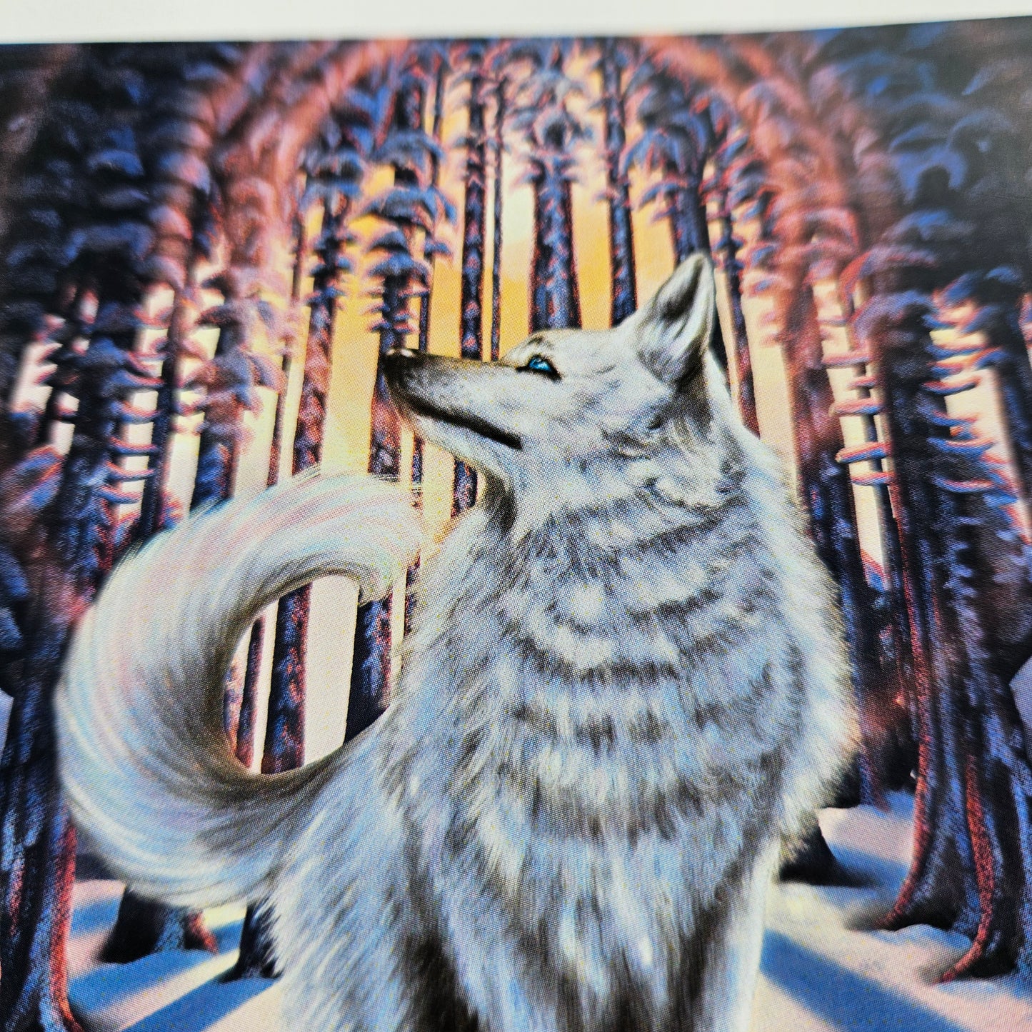 White Wolf - Small Print on Glossy Paper (12x15cm)