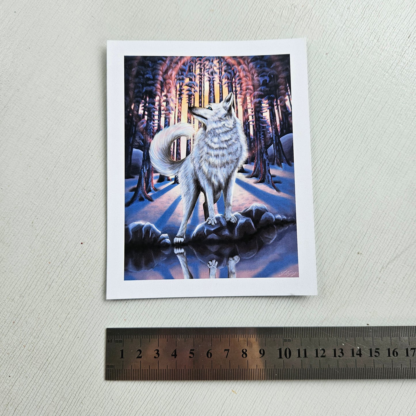 White Wolf - Small Print on Glossy Paper (12x15cm)