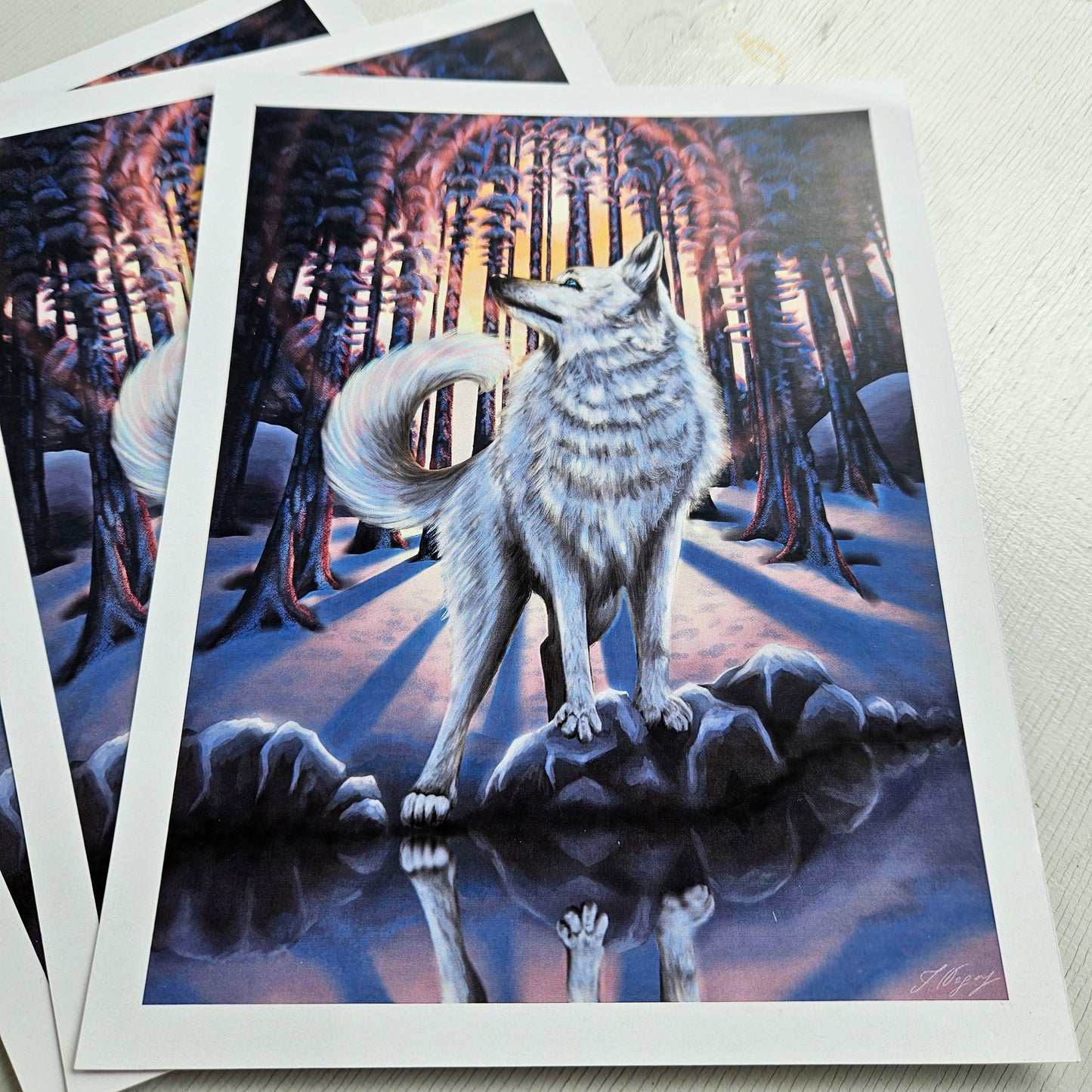 White Wolf - Small Print on Glossy Paper (17x22cm)
