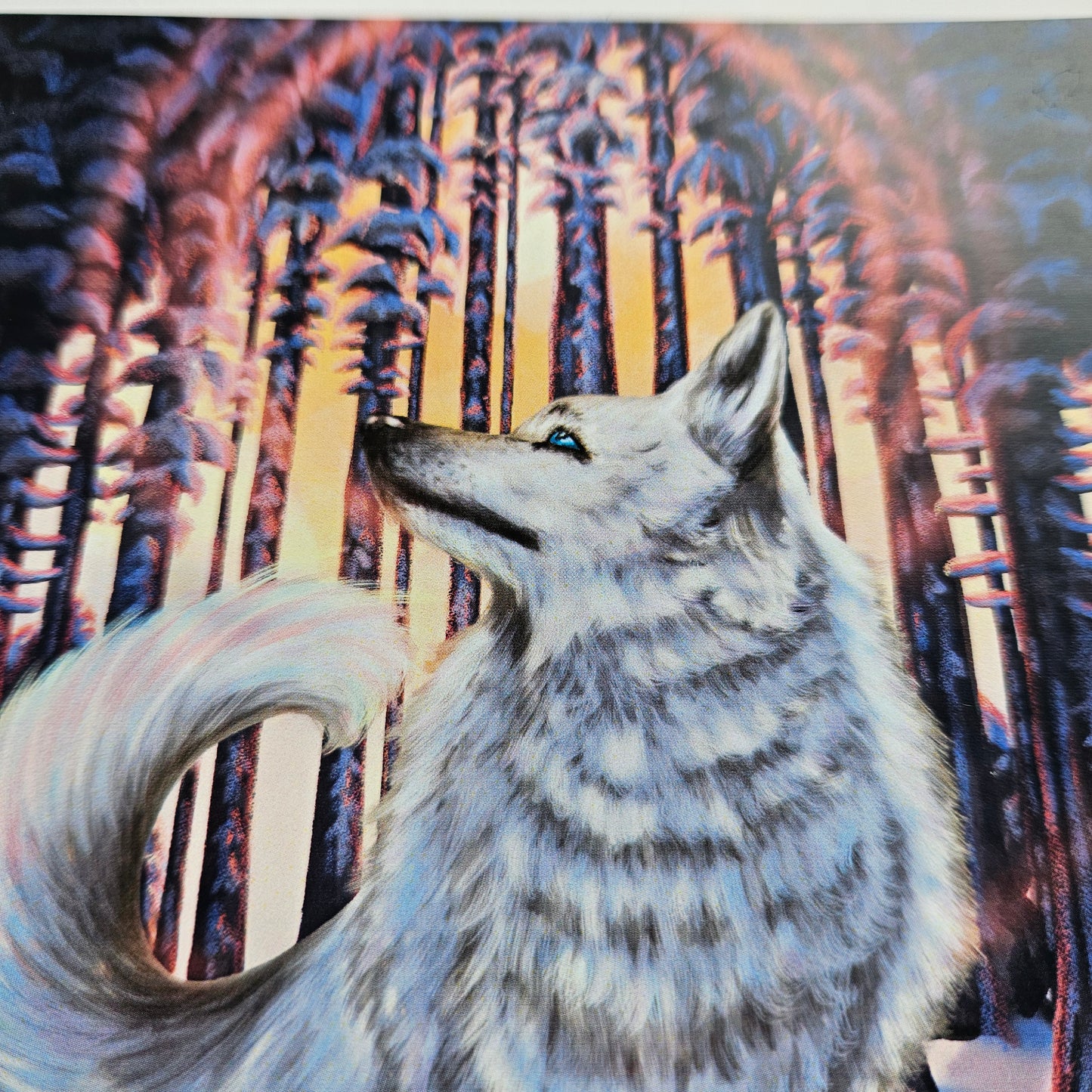 White Wolf - Small Print on Glossy Paper (17x22cm)