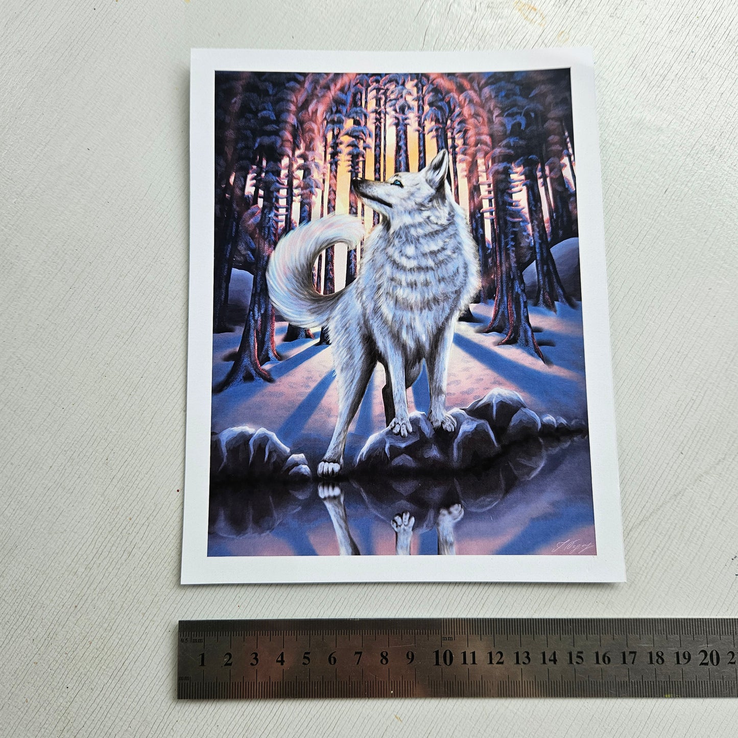 White Wolf - Small Print on Glossy Paper (17x22cm)