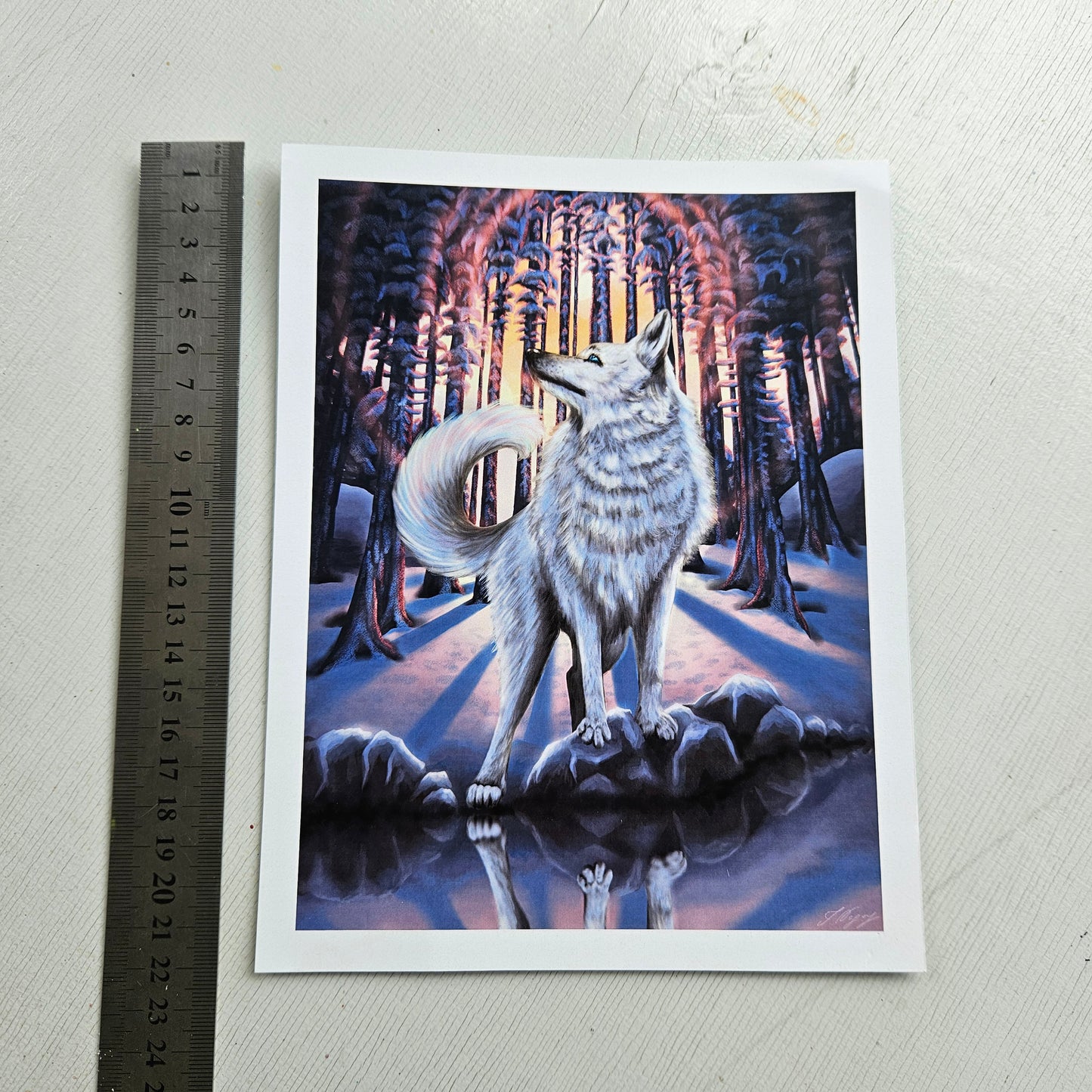 White Wolf - Small Print on Glossy Paper (17x22cm)