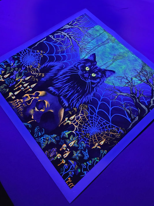 Glowing black cat on a spider web with a skull in a dark, eerie setting