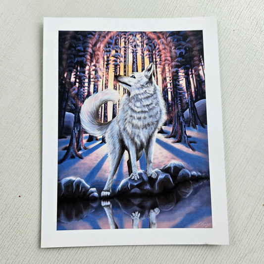 White Wolf - Small Print on Glossy Paper (12x15cm)