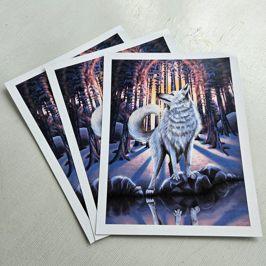 White Wolf - Small Print on Glossy Paper (17x22cm)