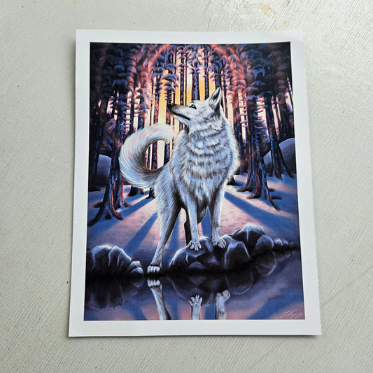 White Wolf - Small Print on Glossy Paper (17x22cm)
